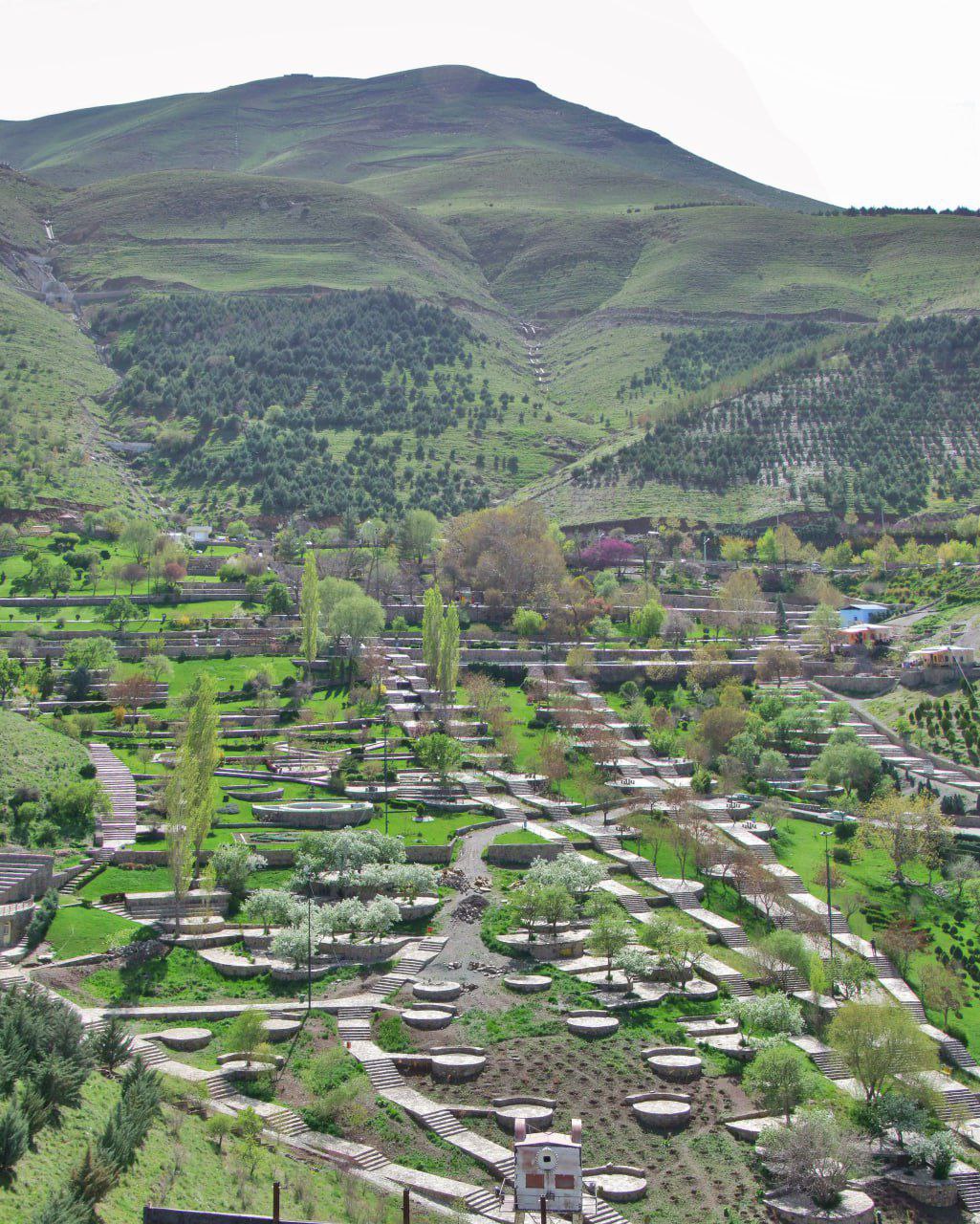 عکاس : آقای مرادسلیمی