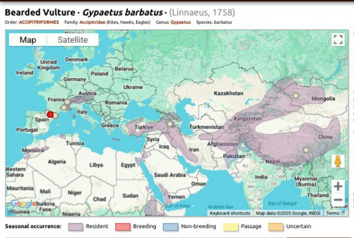 نقشه پراکنش جهانی هما