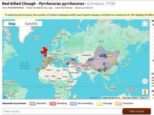 پراکنش جهانی کلاغ کوهی نوک سرخ